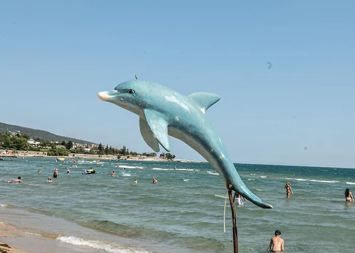 Sunny ساني بيتش